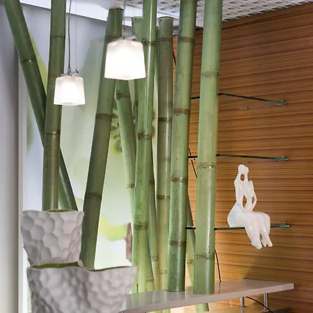 Club Meeting 4* Ρίμινι