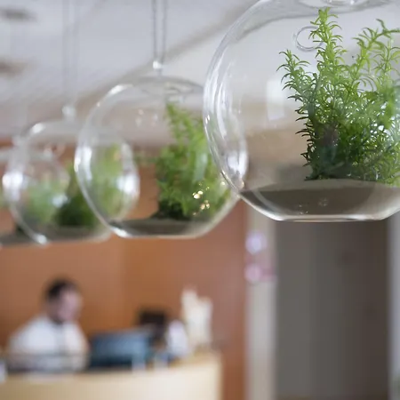 Club Meeting Ρίμινι