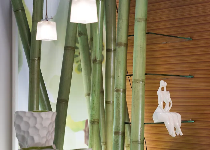 Club Meeting 4* Rimini