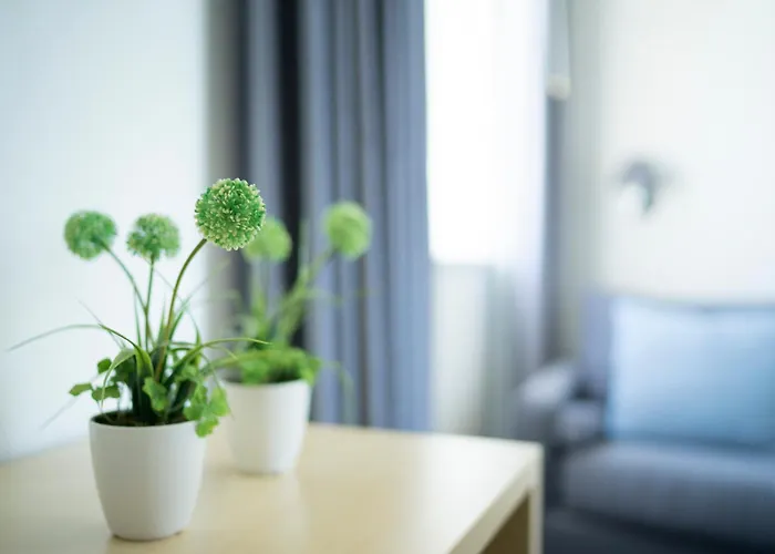 Club Meeting Римини