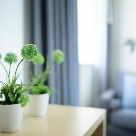 Club Meeting 리미니