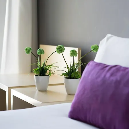 호텔 Club Meeting 4*